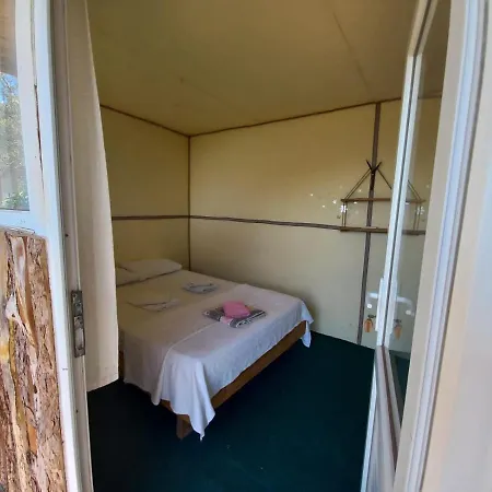 Camping Shiva Camp Kabak *