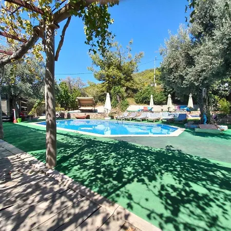 Shiva Camp Kabak Kamp alanı