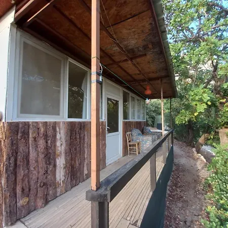 Kamp alanı Shiva Camp Kabak *